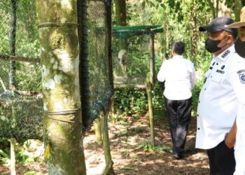(Foto: Dok. Humas Pemkab Bogor)