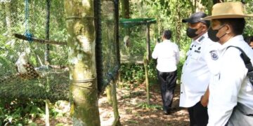 (Foto: Dok. Humas Pemkab Bogor)