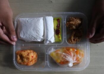 Ilustrasi salah satu menu MBG.(Foto:Istimewa).