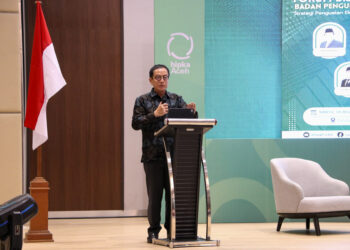 Kepala Eksekutif Pengawas Perbankan OJK Dian Ediana Rae.
