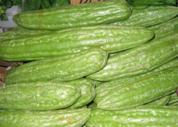 Buah pare atau paria.(Wikipedia)