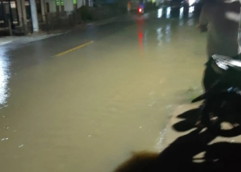 Foto : Banjir yang melanda Desa Tibo dan Desa Kaliburu Kecamatan Sindue Tombusa Bora, Kabupaten Donggala, Provinsi Sulawesi Tengah, Senin (22/9) (BPBD Kabupaten Donggala)