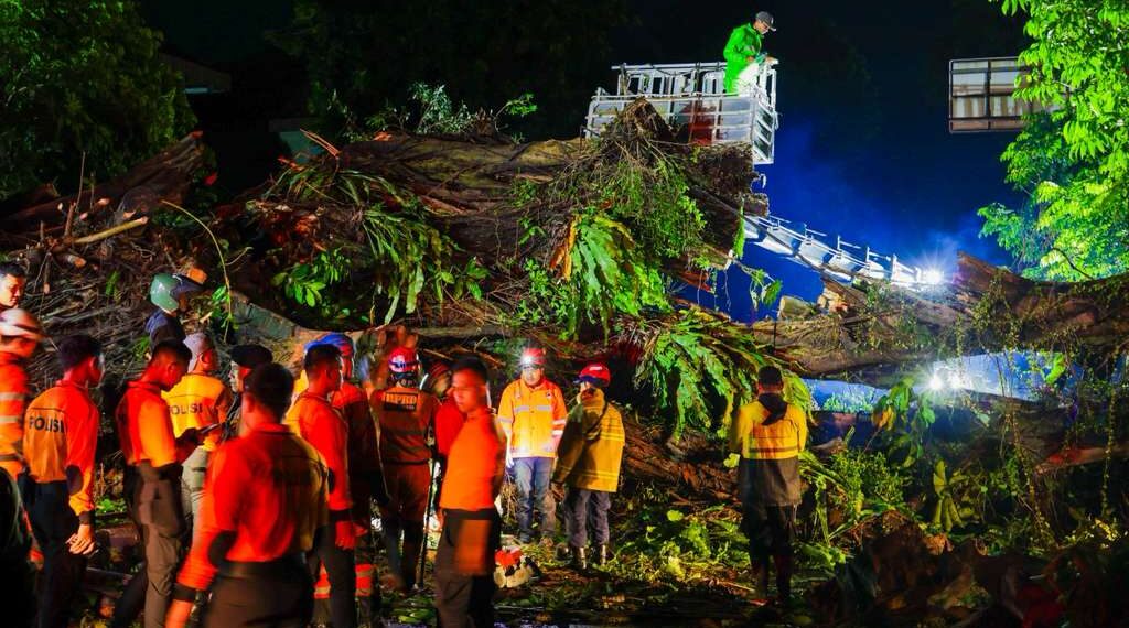 Pohon tumbang di Kota Bogor Senin 27 Oktober 2025.(Foto: Humas Pemkot Bogor)