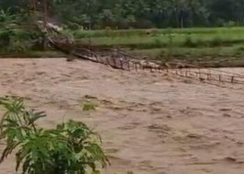 Banjir di Kecamatan Tanggeung dan Cidaun, Kabupaten Cianjur, memutus akses jembatan gantung dan merendam areal pesawahan.(Foto:Istimewa).