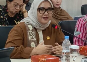 Anggota Komite III Dewan Perwakilan Daerah (DPD) Republik Indonesia (RI) Daerah Pemilihan Jawa Barat (Jabar) Agita Nurfianti.(Foto: Istimewa)
