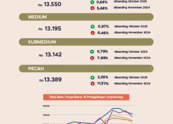 Perkembangan harga beras.(Image: BPS)