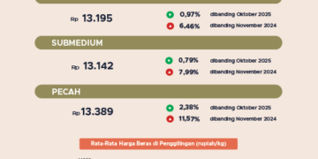 Perkembangan harga beras.(Image: BPS)
