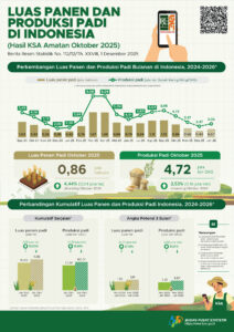 Luas panen padi Oktober 2025.(Image: BPS)