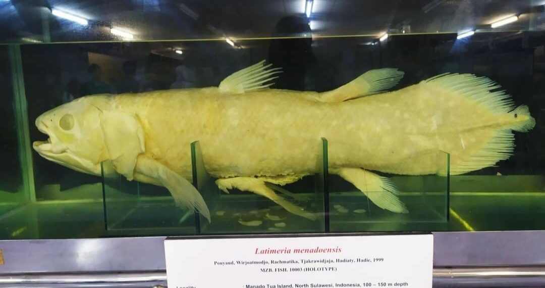 Koleksi Museum Zoologi Bogor.(Foto: BRIN)