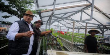 Pertanian perkotaan atau urban farming.(Foto: Humas Pemkot Bandung)