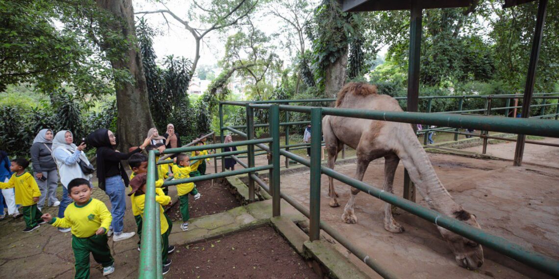 Kebun Binatang Bandung.(Foto: Humas Pemkot Bandung)