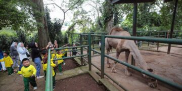 Kebun Binatang Bandung.(Foto: Humas Pemkot Bandung)