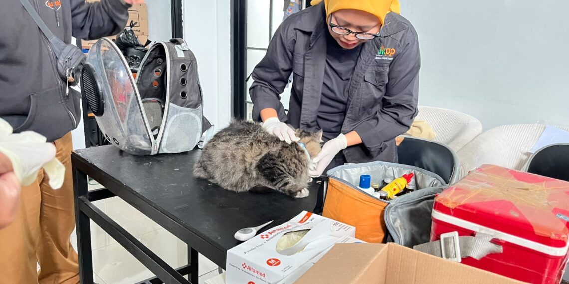 Dinas Ketahanan Pangan dan Pertanian (DKPP) Kota Bandung kembali menggelar kegiatan Bangsawan (Bandung Jaga Kesehatan Hewan) di Kantor Kelurahan Ciumbuleuit, Kecamatan Cidadap, Selasa 20 Januari 2026.(Foto: Humas Pemkot Bandung)