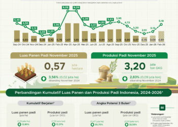 Luas panen padi November 2025.