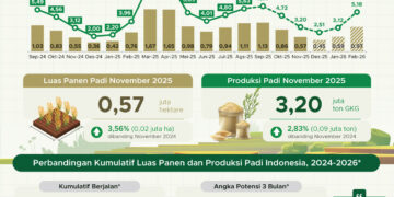 Luas panen padi November 2025.