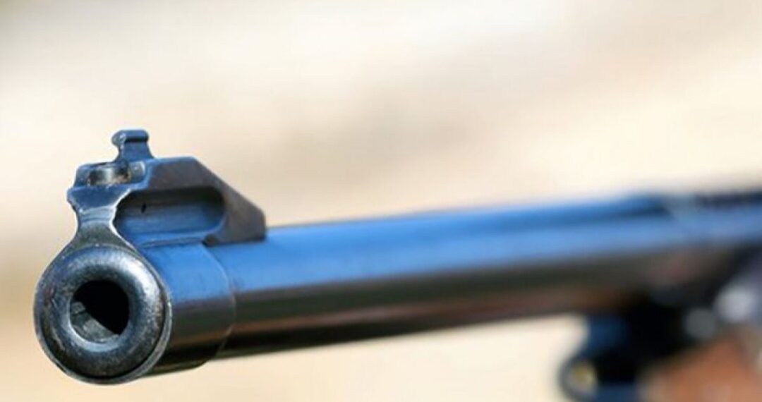 Ilustrasi senapan angin.(Foto:Istimewa).