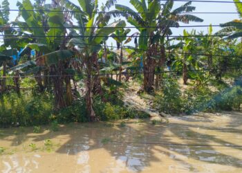 Foto : Air melimpas ke jalan raya Purwodadi-Semarang, akibat tanggul tidak mampu menampung debit air di Dusun Mlati, Desa Manggarmas, Kecamatan Godong, Kabupaten Grobogan, Jawa Tengah, Senin (16/2). (BPBD Kabupaten Grobogan)