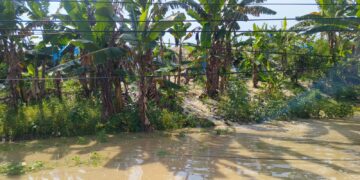 Foto : Air melimpas ke jalan raya Purwodadi-Semarang, akibat tanggul tidak mampu menampung debit air di Dusun Mlati, Desa Manggarmas, Kecamatan Godong, Kabupaten Grobogan, Jawa Tengah, Senin (16/2). (BPBD Kabupaten Grobogan)