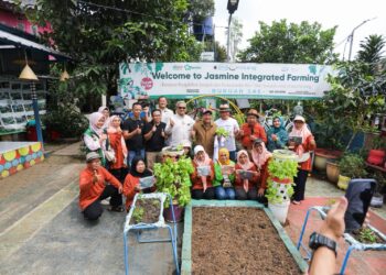 Artis sekaligus pegiat lingkungan Irfan Hakim bersama Wali Kota Bandung Muhammad Farhan, Irfan Hakim meninjau langsung kegiatan pengolahan sampah dan program Buruan Sae di Jasmine Integrated Farming, yang dikelola Kelompok Swadaya Masyarakat (KSM) RW 19 Antapani Tengah, Minggu, 22 Februari 2026.(Foto: Humas Pemkot Bandung)