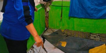 Foto : Dampak yang diakibatkan bencana pergerakan tanah yang terjadi di Kabupaten Tasikmalaya, Jawa Barat. (BPBD Kabupaten Tasikmalaya)