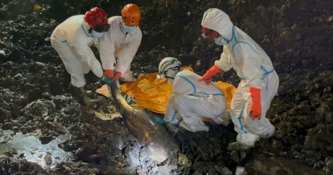 Proses evakuasi jasad korban tertimbun longsor sampah di TPST Bantargebang, Kota Bekasi.(Foto:Istimewa).