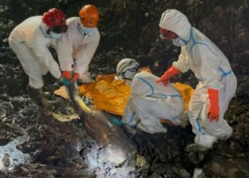 Proses evakuasi jasad korban tertimbun longsor sampah di TPST Bantargebang, Kota Bekasi.(Foto:Istimewa).