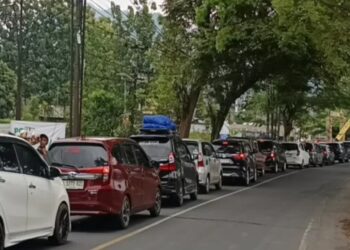 Antrean kendaraan di jalur Gentong, Kabupaten Tasikmalaya, saat memasuki arus balik.(Foto:Istimewa).