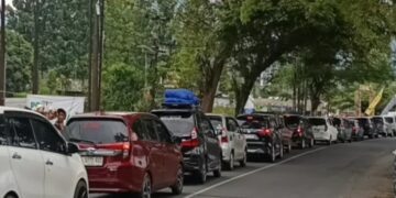 Antrean kendaraan di jalur Gentong, Kabupaten Tasikmalaya, saat memasuki arus balik.(Foto:Istimewa).