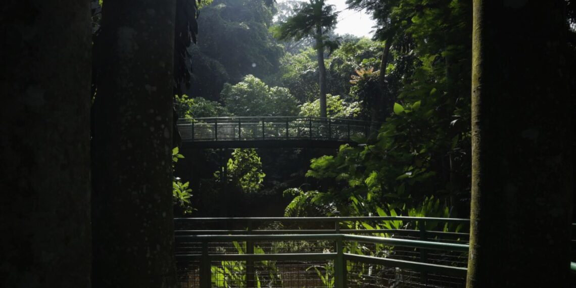 Hutan Kota Babakan Siliwangi.(Foto: Humas Pemkot Bandung)