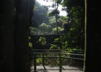 Hutan Kota Babakan Siliwangi.(Foto: Humas Pemkot Bandung)