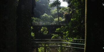 Hutan Kota Babakan Siliwangi.(Foto: Humas Pemkot Bandung)
