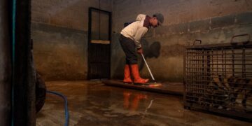 Pemeliharaan kandang.(Foto: Humas Pemkot Bandung)