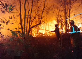 Foto : Proses pemadaman api oleh petigas gabungan, pada Rabu (25/3). (BPBD Provinsi Kepulauan Riau)