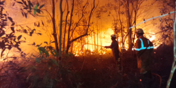 Foto : Proses pemadaman api oleh petigas gabungan, pada Rabu (25/3). (BPBD Provinsi Kepulauan Riau)