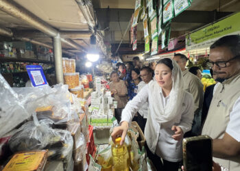 Wakil Menteri Perdagangan, Dyah Roro Esti meninjau harga dan stok barang kebutuhan pokok (bapok) di Pasar Mayestik, Jakarta, Selasa (17 Mar).(Foto: Dok. Kemendag)