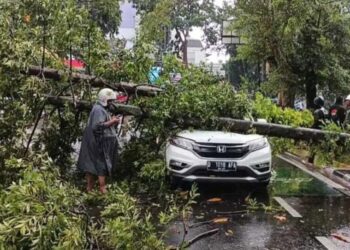 Pohon tumbang timpa mobil akibat cuaca ekstrem di Kota Bandung.(Foto:Istimewa).