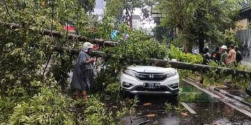 Pohon tumbang timpa mobil akibat cuaca ekstrem di Kota Bandung.(Foto:Istimewa).