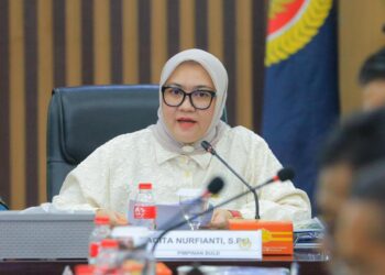 Wakil Ketua III BULD DPD RI Agita Nurfianti.(Foto: Istimewa)