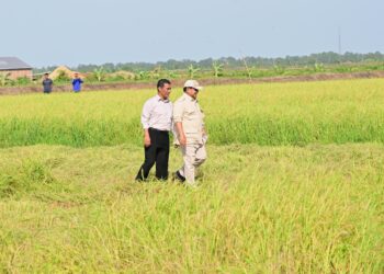 Menteri Pertanian (Mentan) Amran Sulaiman mendampingi Presiden Prabowo Subianto.(Foto: Setneg)