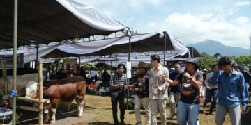 Gebyar Ternak Padjadjaran.(Foto: Humas Pemkab Sumedang)