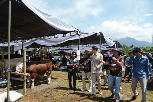 Gebyar Ternak Padjadjaran.(Foto: Humas Pemkab Sumedang)