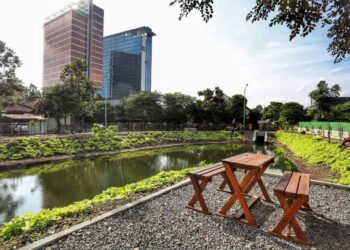 Kawasan resapan air.(Foto: Humas Pemkot Bandung)