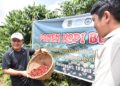 Bupati Kuningan, Dian Rachmat Yanuar, saat menghadiri kegiatan Panen Kopi Bersama bertema “Sinergi Petani dan Pemerintah Daerah Menuju Kopi Kuningan Go Internasional” di Kebun Kopi Blok Pasir Batang, Desa Karangsari, Kecamatan Darma, Minggu (19/4/2026).(Foto: Humas Pemkab Kuningan)