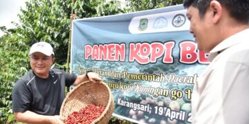 Bupati Kuningan, Dian Rachmat Yanuar, saat menghadiri kegiatan Panen Kopi Bersama bertema “Sinergi Petani dan Pemerintah Daerah Menuju Kopi Kuningan Go Internasional” di Kebun Kopi Blok Pasir Batang, Desa Karangsari, Kecamatan Darma, Minggu (19/4/2026).(Foto: Humas Pemkab Kuningan)