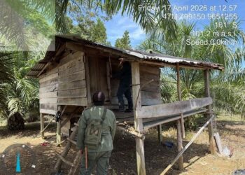 (Foto: Dok. Gakkum Kemenhut)