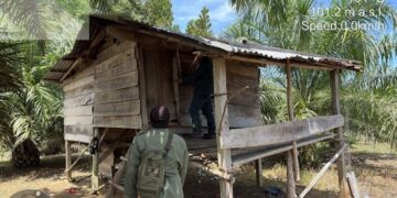 (Foto: Dok. Gakkum Kemenhut)