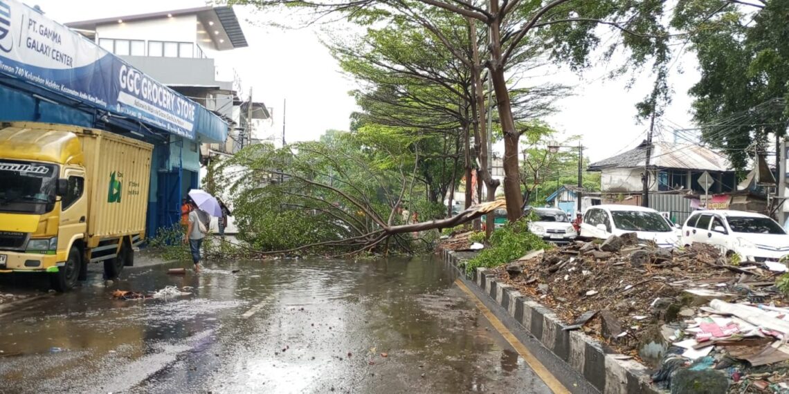 Pohon tumbang.(Foto: Humas Pemkot Bandung)