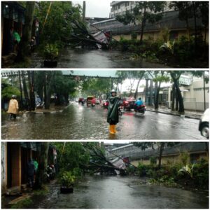 Pohon tumbang.(Foto: Humas Pemkot Bandung)