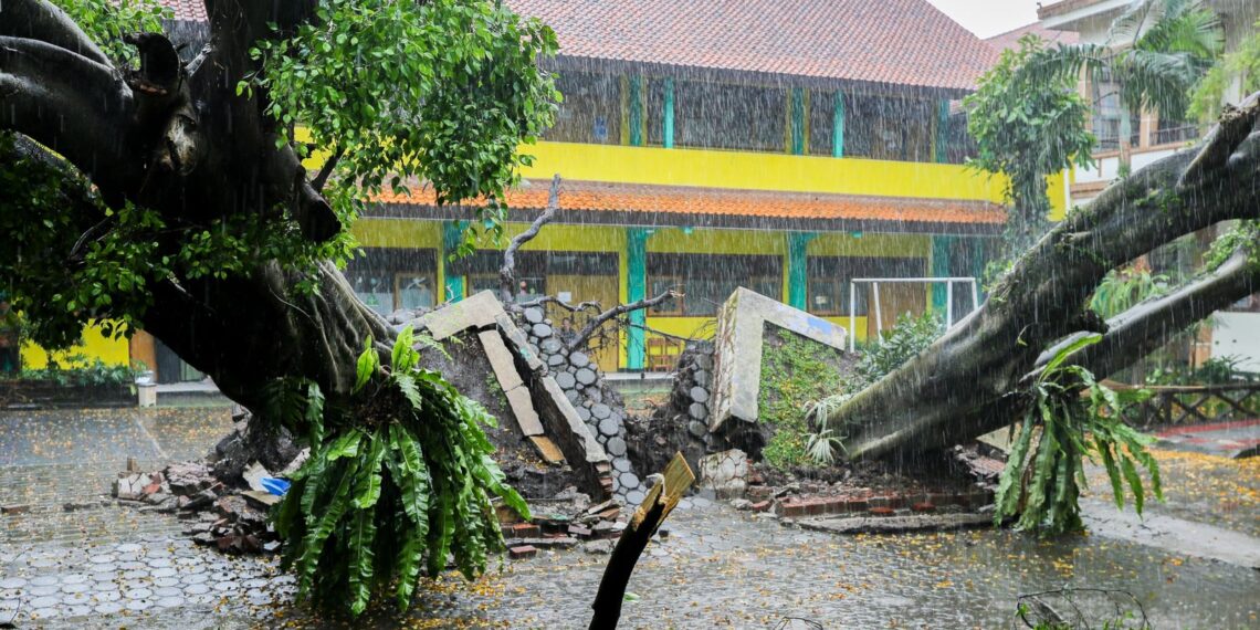 Pohon tumbang akibat hujan badai.(Foto: Humas Pemkot Bandung)