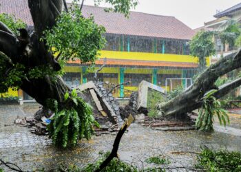 Pohon tumbang akibat hujan badai.(Foto: Humas Pemkot Bandung)